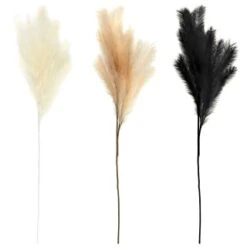 B&M Pampas Stem - Black -Hot Sale Household Items 372800 395541 394382 pamas stem group 2