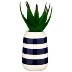 B&M Small Succulent -Hot Sale Household Items 380107 small succulent 3