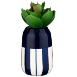 B&M Small Succulent -Hot Sale Household Items 380107 small succulent 5