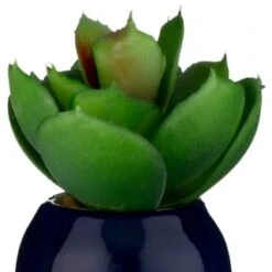B&M Small Succulent -Hot Sale Household Items 380107 small succulent 6