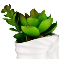 B&M Scandi Shore Small Shell Succulent -Hot Sale Household Items 380110 small shell succulent 2