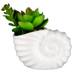 B&M Scandi Shore Small Shell Succulent -Hot Sale Household Items 380110 small shell succulent