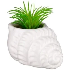 B&M Scandi Shore Small Shell Succulent -Hot Sale Household Items 380110 small shell succulent 6