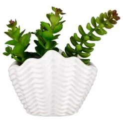 B&M Scandi Shore Small Shell Succulent -Hot Sale Household Items 380110 small shell succulent 7