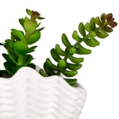 B&M Scandi Shore Small Shell Succulent -Hot Sale Household Items 380110 small shell succulent 8