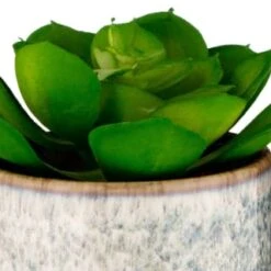 B&M Scandi Shore Succulent -Hot Sale Household Items 380125 scandi succulent 2