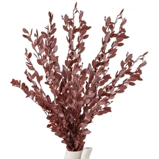 B&M Eucalyptus In Stone Pot 2 B&M Eucalyptus In Stone Pot - Image 2