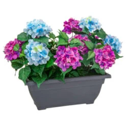 Bloom Basic Window Box - Hydrangea