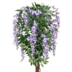 Bloom Wysteria Tree In Pot - Purple -Hot Sale Household Items 392870 4ft wysteria tree purple 2