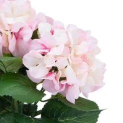 Bloom Hydrangea In Pot - Pink -Hot Sale Household Items 392961 hydrangea in pot