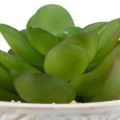 B&M Assorted Embossed Pots -Hot Sale Household Items 394664 embossed pot 6